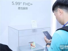石墨烯+OLED能否成“黃金搭檔”？